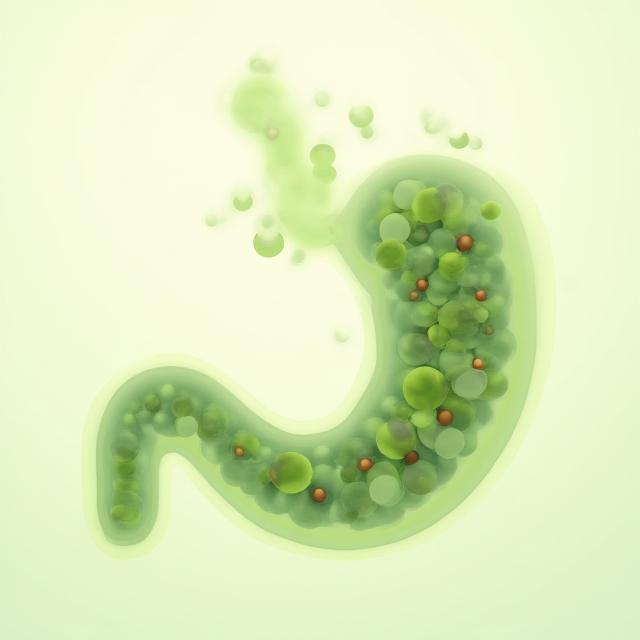 Infografica stilizzata e colorata dell'intestino umano, con rappresentazioni visive di batteri buoni (verdi) e cattivi (rossi o grigi) in equilibrio e squilibrio, evidenziando l'importanza del microbioma.